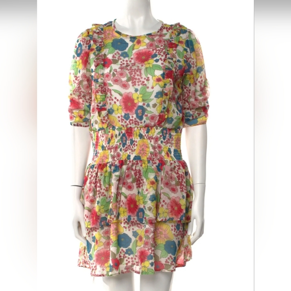 Walter Baker Multicolor Floral Mini Dress